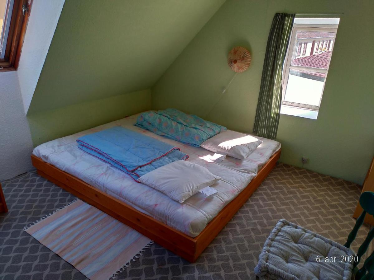 Hokeriet C Daire Nordborg Dış mekan fotoğraf